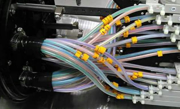 Slide Image
